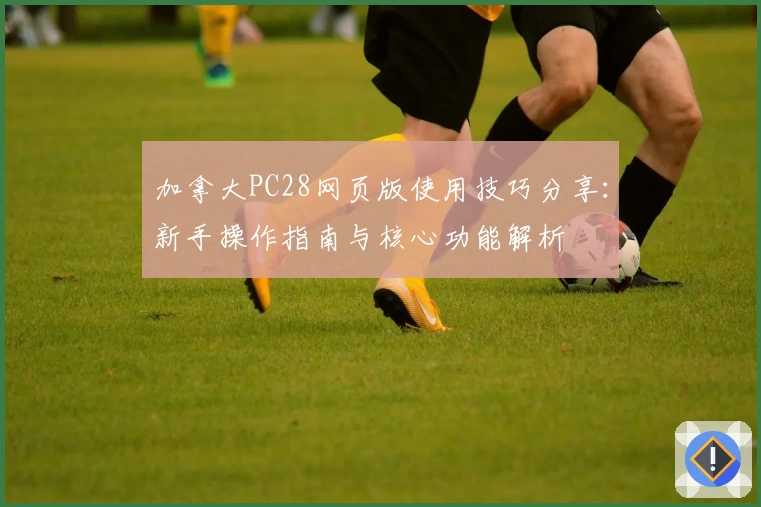 加拿大PC28网页版使用技巧分享：新手操作指南与核心功能解析