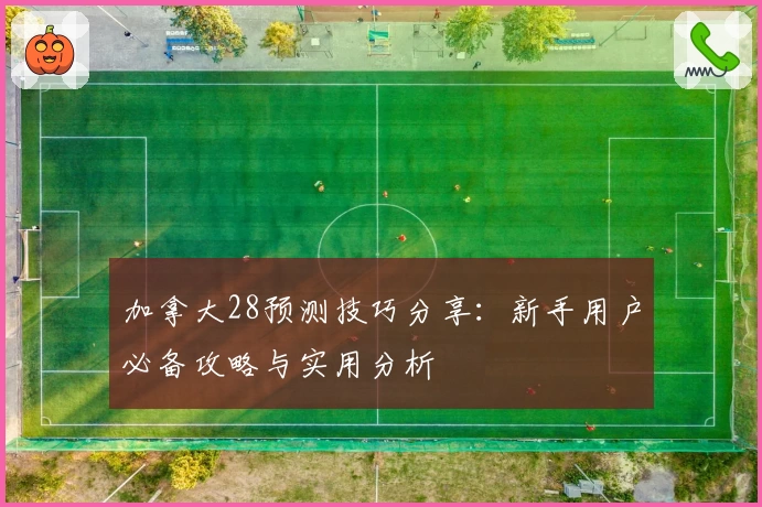 加拿大28预测技巧分享：新手用户必备攻略与实用分析