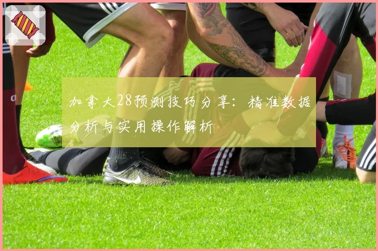 加拿大28预测技巧分享：精准数据分析与实用操作解析