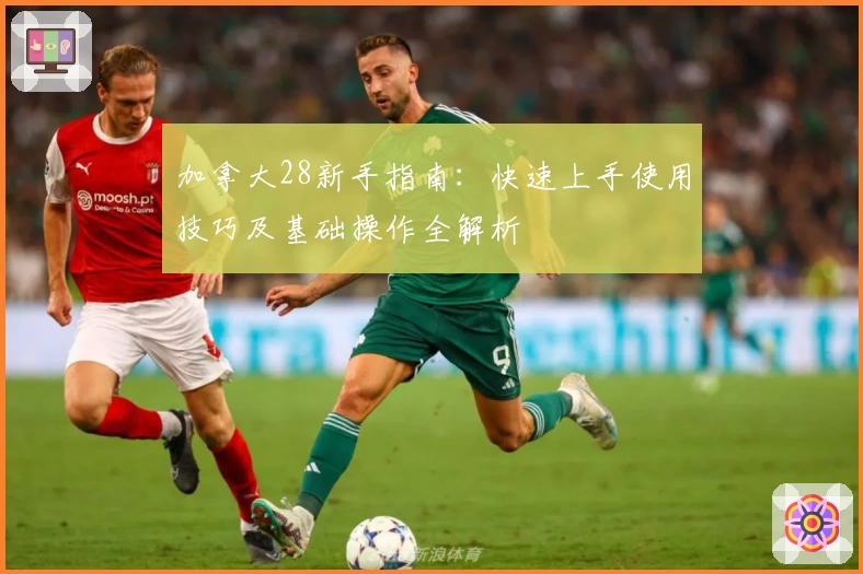 加拿大28新手指南：快速上手使用技巧及基础操作全解析