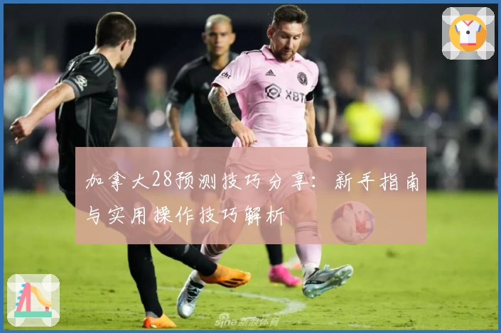 加拿大28预测技巧分享：新手指南与实用操作技巧解析