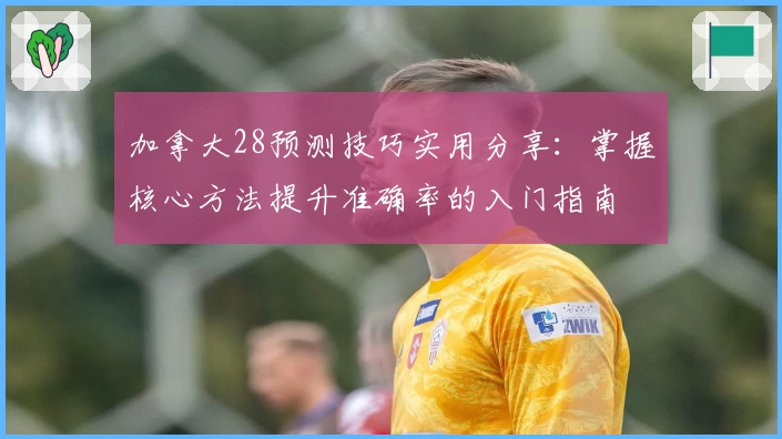 加拿大28预测技巧实用分享：掌握核心方法提升准确率的入门指南
