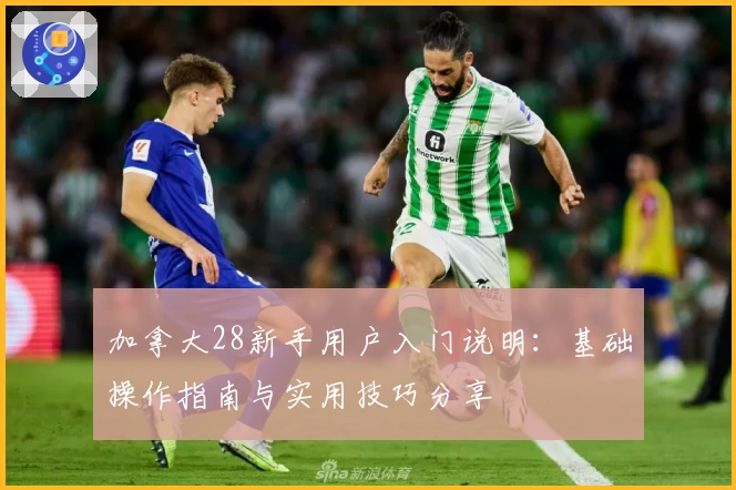 加拿大28新手用户入门说明：基础操作指南与实用技巧分享