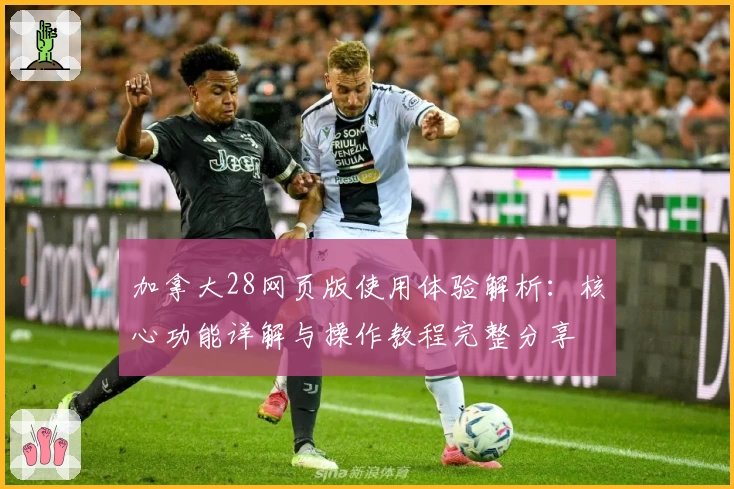 加拿大28网页版使用体验解析：核心功能详解与操作教程完整分享