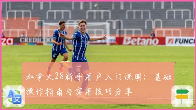 加拿大28新手用户入门说明：基础操作指南与实用技巧分享
