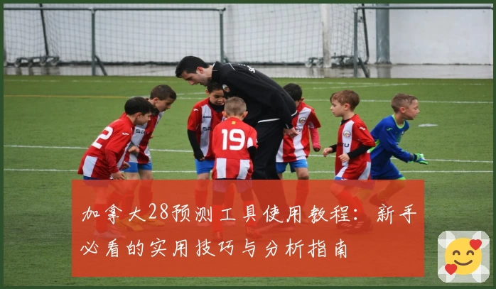 加拿大28预测工具使用教程：新手必看的实用技巧与分析指南
