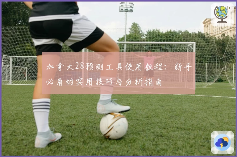 加拿大28预测工具使用教程：新手必看的实用技巧与分析指南