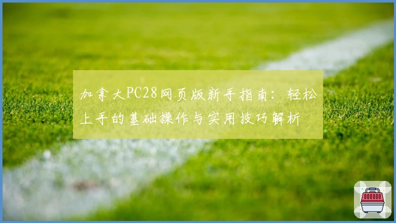 加拿大PC28网页版新手指南：轻松上手的基础操作与实用技巧解析